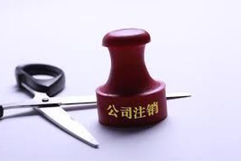 拉薩注銷一個公司，需要去幾個部門？整體時間需要多久？大概流程是怎樣的？