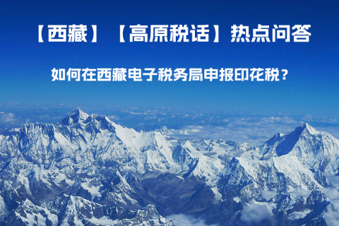 如何在西藏自治區(qū)電子稅務局申報印花稅？