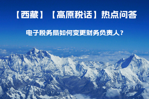 電子稅務局如何變更財務負責人？