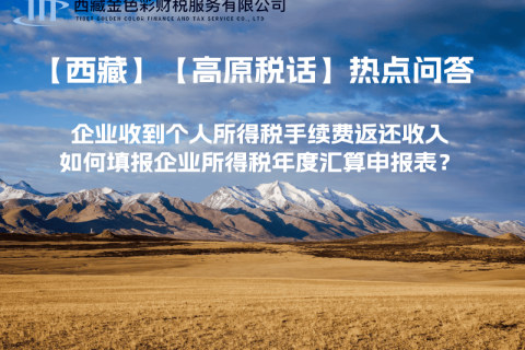 企業(yè)收到個(gè)人所得稅手續(xù)費(fèi)返還收入，如何填報(bào)企業(yè)所得稅年度匯算申報(bào)表？