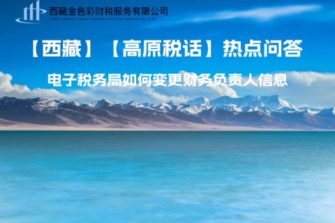 西藏電子稅務(wù)局如何變更財務(wù)負(fù)責(zé)人信息？