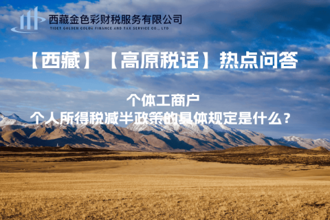 個(gè)體工商戶個(gè)人所得稅減半政策的具體規(guī)定是什么？